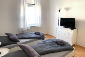 cozy 2 room flat in Zwickau